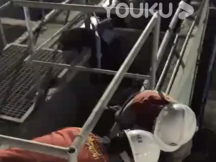 视频中心