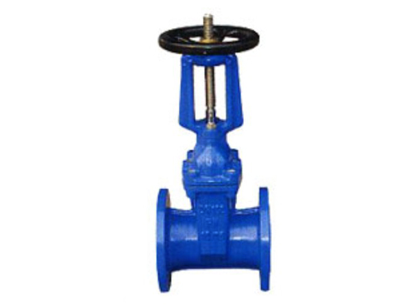 明杆弹性座封闸阀