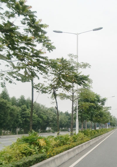 路灯杆