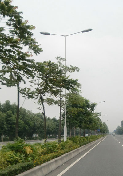 路灯杆