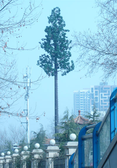 25米仿生松树
