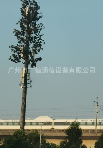 30米美化树