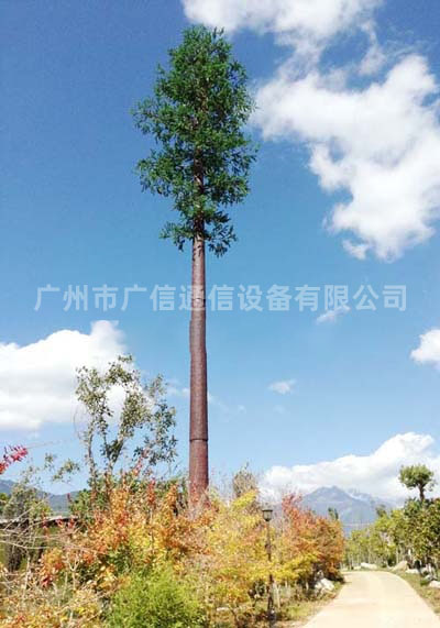 景观树
