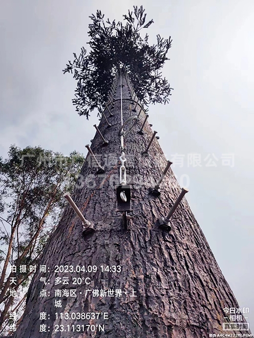 25米仿真松树