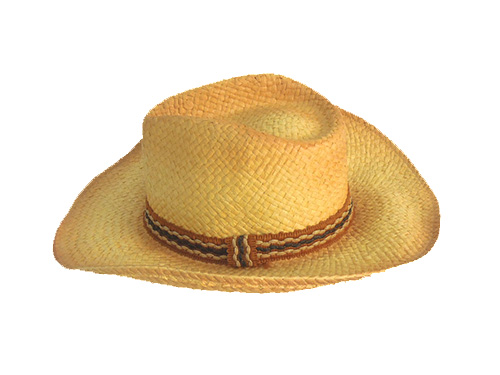 GXS-8002A草帽