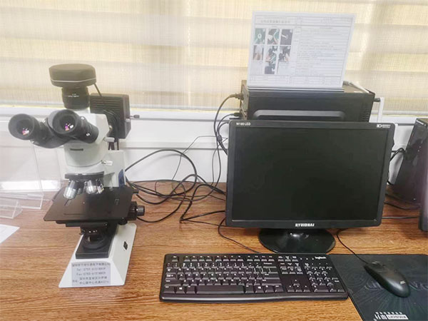 显微镜