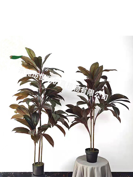 把森林搬回家：仿真植物如何重塑现代家居生活美学