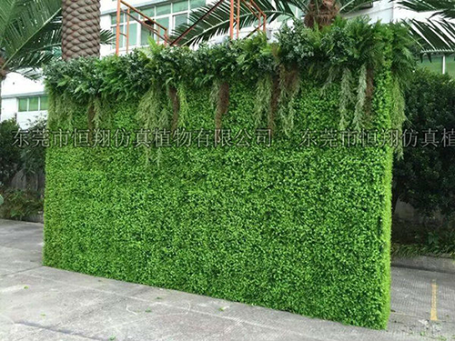 东莞仿真植物墙