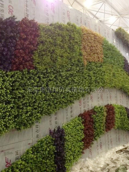 金钱草仿真植物墙