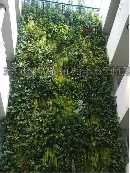 垂直绿化仿真植物墙