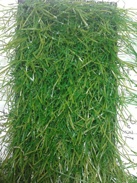 仿真休闲草皮生产