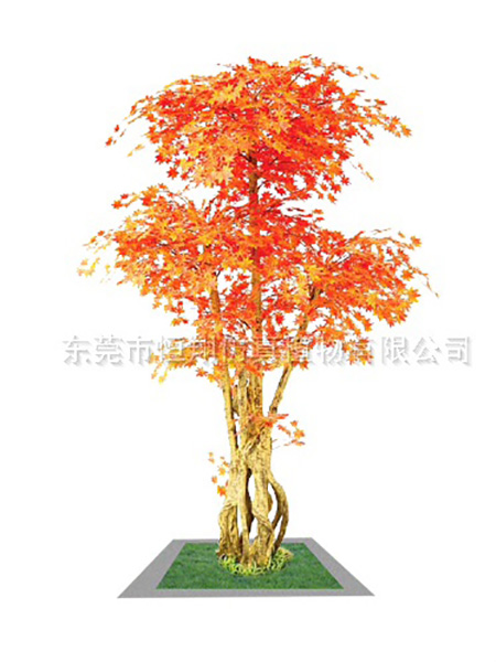 仿真枫树