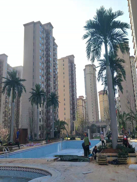 10米粗杆仿真大王椰...