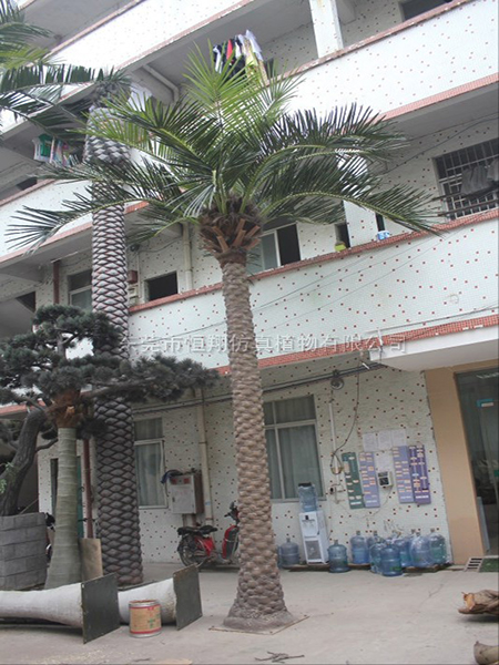 墨西哥仿真海藻树