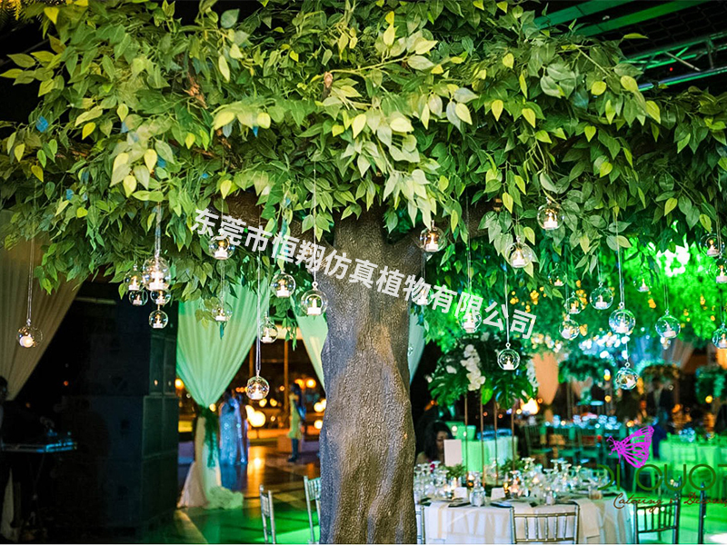 法国餐厅4米高榕树