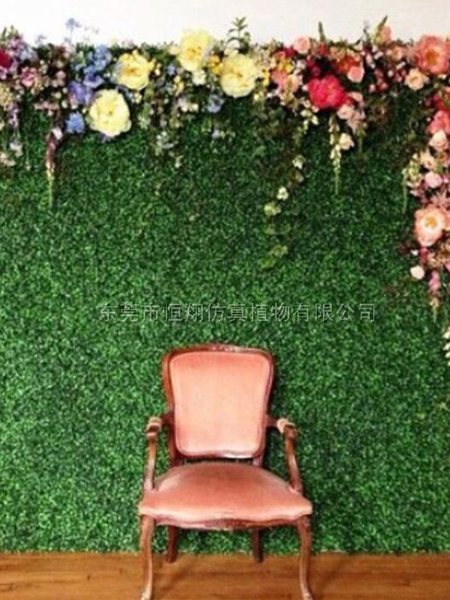 米兰草带花仿真植物墙