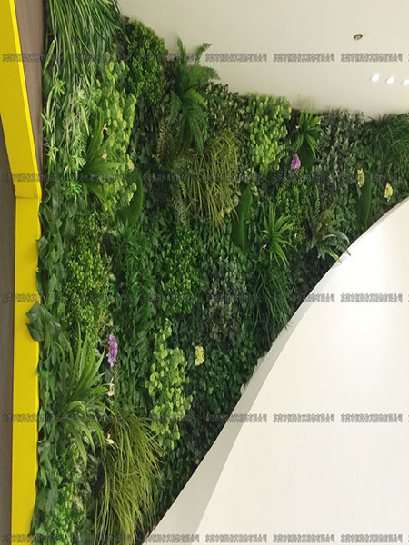 室内装饰仿真植物墙