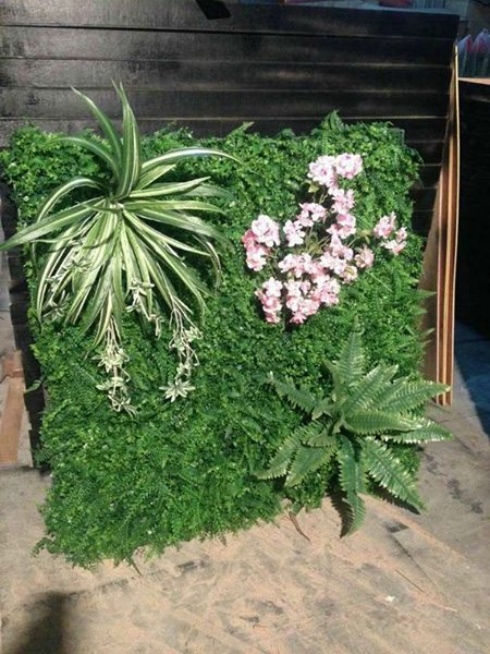 小型简约生态仿真植物...