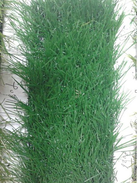 休闲仿真草皮产品