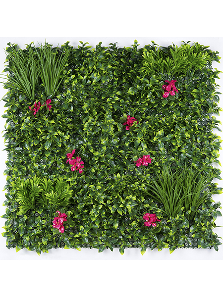 红红火火100×10...