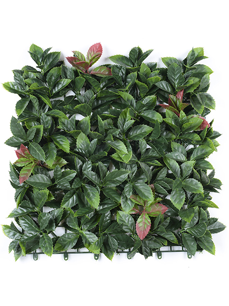 玉兰叶带齿50×50...