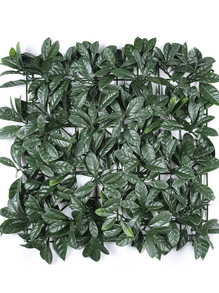 浅头桂花叶50×50...