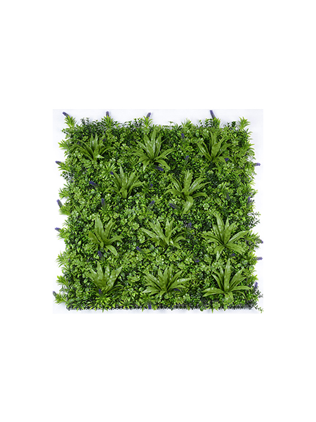 枝繁叶茂100×10...