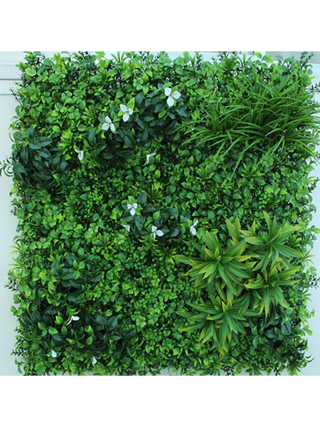 春意盎然100×10...