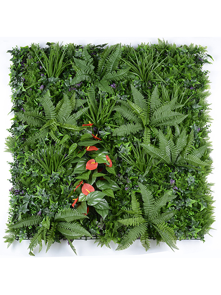 姹紫嫣红100×10...