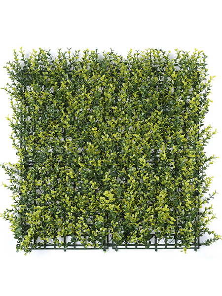 小号金钱草皮50×5...