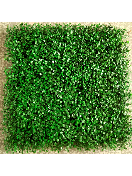 加密米兰50×50c...