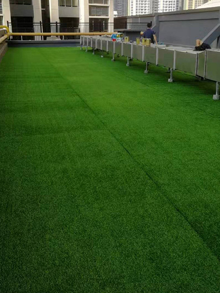 休闲草皮铺装效果