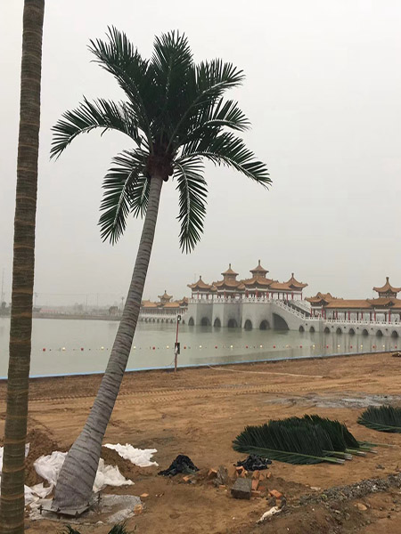 7.5米弯杆椰子树