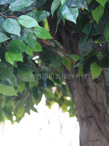 仿真榕树细节