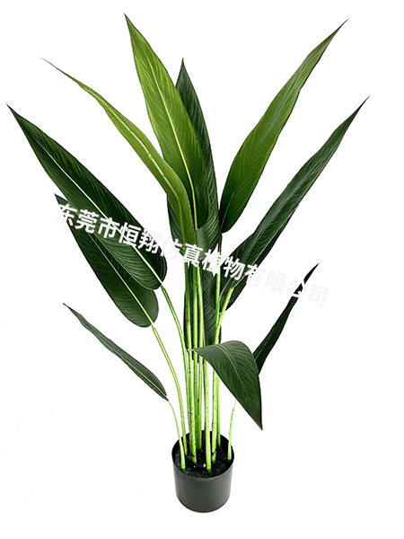 仿真美人蕉105厘米