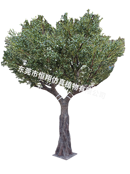 3.8米高3.8米冠...