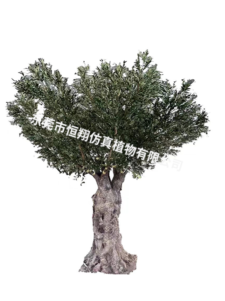 3.8米高3.8米冠...