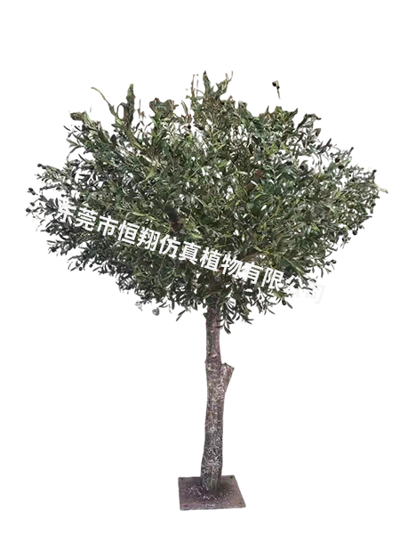 2.8米高2.6米冠...