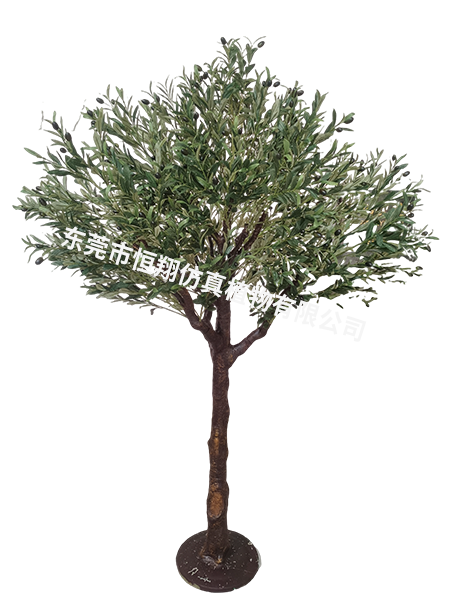 2.3高2米3冠幅P...