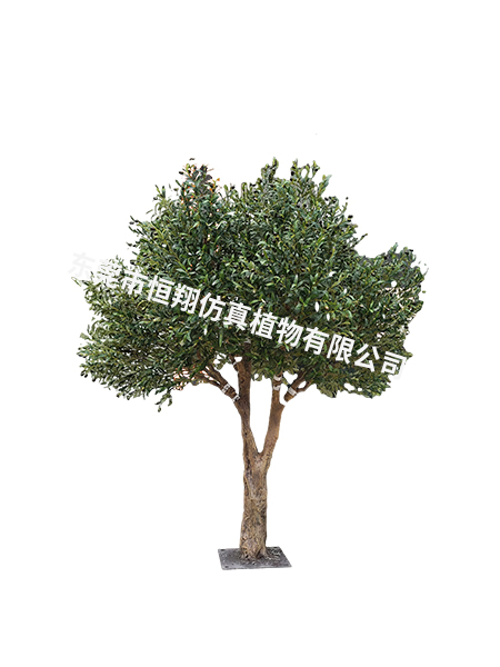 2.8米高2.8米冠...