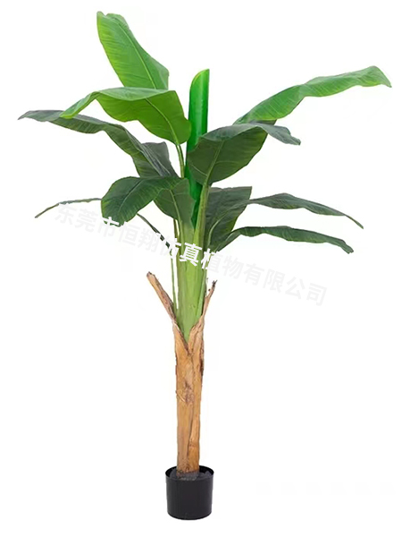 1.8米单杆子芭蕉树