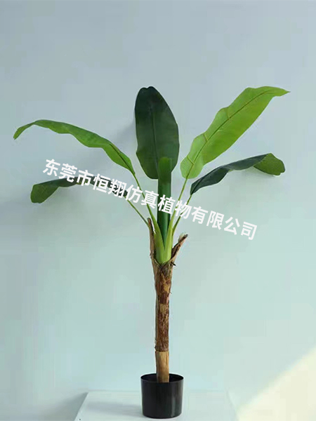 1.2米单杆子芭蕉树