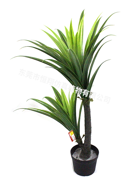 双头一帆风顺120c...