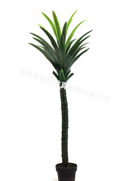 单杆一帆风顺155c...