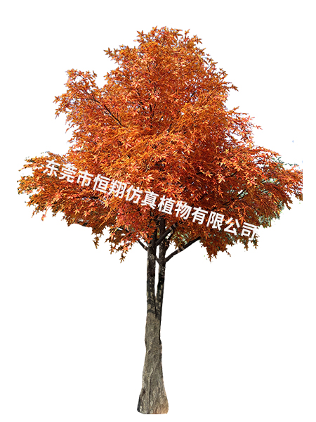 仿真枫树