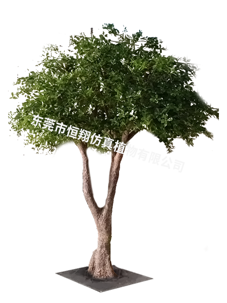 高2.8米冠幅2.8...