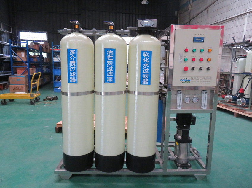 某水厂1T/H 全不...
