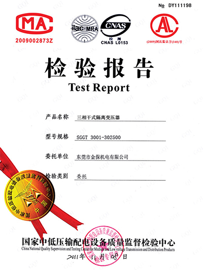 SGGT检验报告