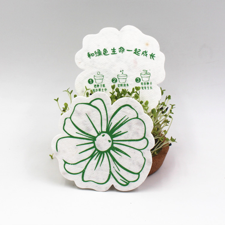 品牌如何用种子纸做环保营销？东莞定制会发芽的承诺，提升用户粘性