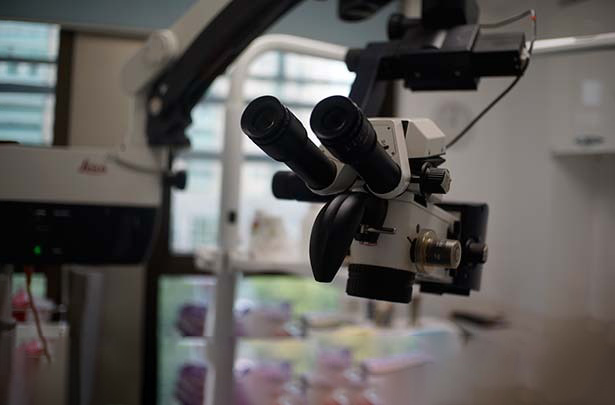 根管显微镜多少钱